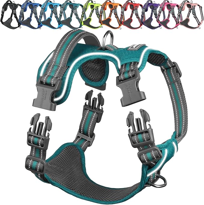 VIVAGLORY Dog Harness Easewalk No Pull Dog Harness with Handle & Front Back Clip for Training Lifting, Easy On Adjustable Padded No Pull for Pet & Puppy, L, Hunter Teal
