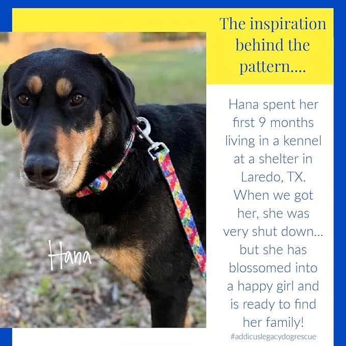 Lucky Love Dog - Easy Click Buckle Dog Collar with Leash Set Combo, Durable & Comfortable for Male & Female Dogs, Pet Collar for Small to Large Dogs, Secure Fit - Hana Combo, Small