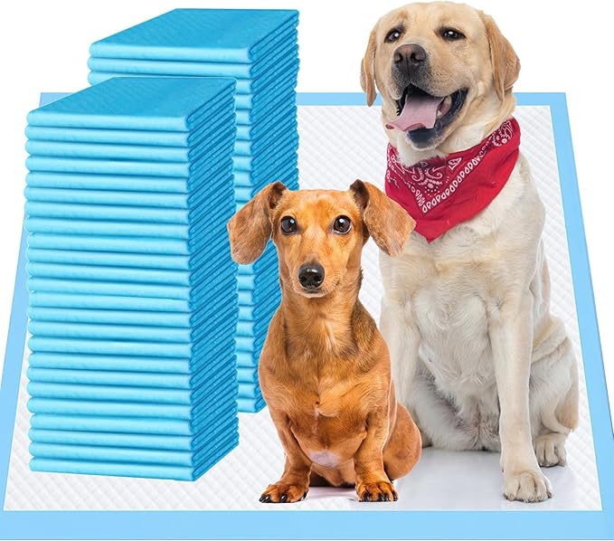 Upgrade Leak-Proof Pet Training and Puppy Pads, Jumbo Pee Pads for Dogs with Thicken Polymer Heavy Absorbency, Quick Dry Disposable Pee Pads for Cats Dogs - 50 Counts