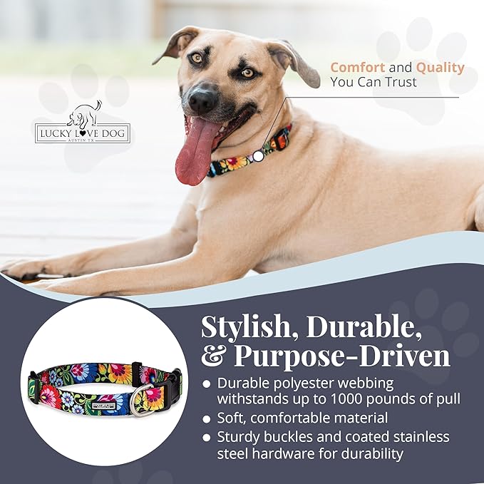 Lucky Love Dog - Adjustable Dog Collar with Easy Click Buckle for Small to Large Ones, Durable, & Comfortable for Male & Female Dogs, Pet Collar for Puppies & Adult Dogs - Blackbird, Large