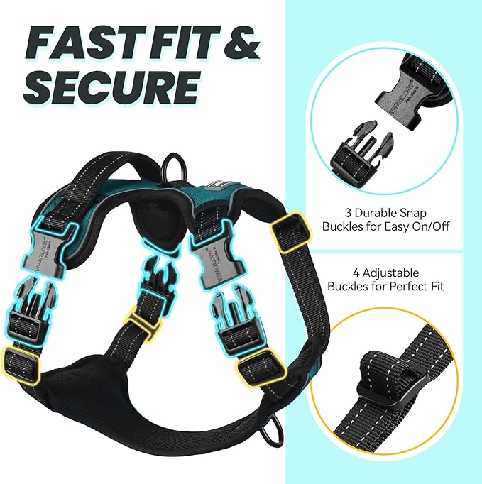 VIVAGLORY Dog Harness Easefit No Pull Dog Harness with Front Clip & Handle for Lifting Training, Adjustable Padded No-Pull Anti Pull Easy On for Puppy & Pet, L, Peacock Green
