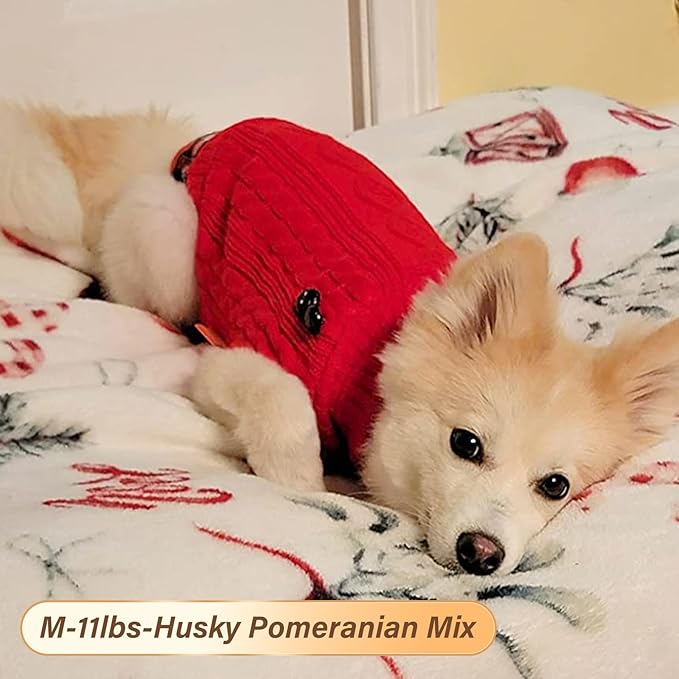 KYEESE Dog Sweater Soft Pullover Dog Sweaters for Small Dogs Girl Warm Turtleneck Small Dogs Sweater with Gingham Patchwork Stretchy Knitwear Cat Clothes Comfy Pet Coat for Fall Winter Cold Weather