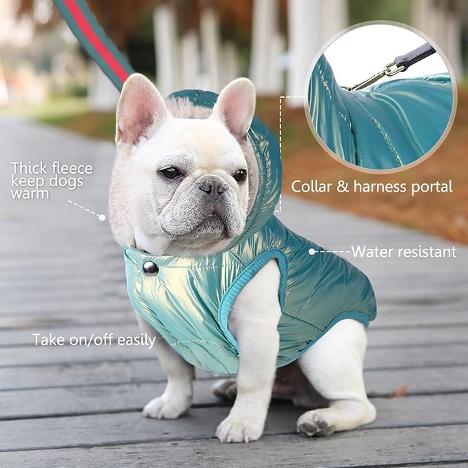 Windproof Waterproof Dog Coat Fleece & Cotton Lined Warm Jacket, Cold Weather Pet Apparel Clothes Vest for Small Medium Large Dog (S, Mintgreen)