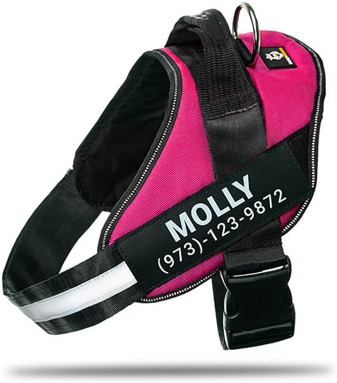 Personalized No-Pull Dog Harness with Name Patch, Adjustable, Reflective, Padded, Heavy Duty Pet Vest to Prevent Tugging, Pulling, or Choking, Training and Walking, Rose Red, 2XL