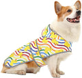 Dog Raincoat for Large Dogs, Waterproof Rain Jacket Coat with Hood and Leash Hole, Polyester, Rainbow Ducks