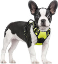 rabbitgoo Dog Harness No Pull with 2 Leash Clips, Adjustable Soft Padded, Reflective Oxford No Choke Pet Vest with Easy Control Handle for Small Dogs, Wild Lime,S