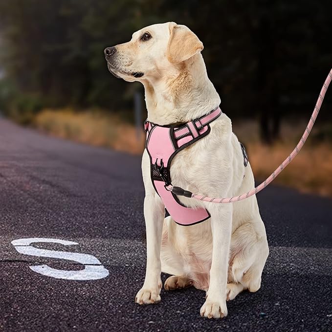 IVY&LANE No Pull Dog Harness for Small Dogs, Dog Vest Harness with Leash, Safety Belt and Storage Strap, Fully Adjustable, 360 Reflective Strip, Soft Handle (Pink, S)