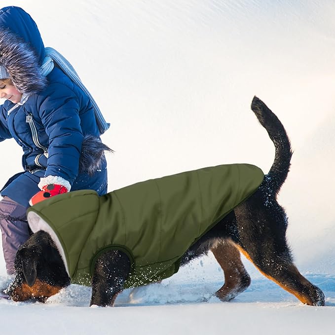 Fleece Hoodie, Windproof Waterproof Coat, Winter Warm Jacket, Cold Weather Pet Apparel Clothes Vest for Small Medium Large Dogs (L, Green)
