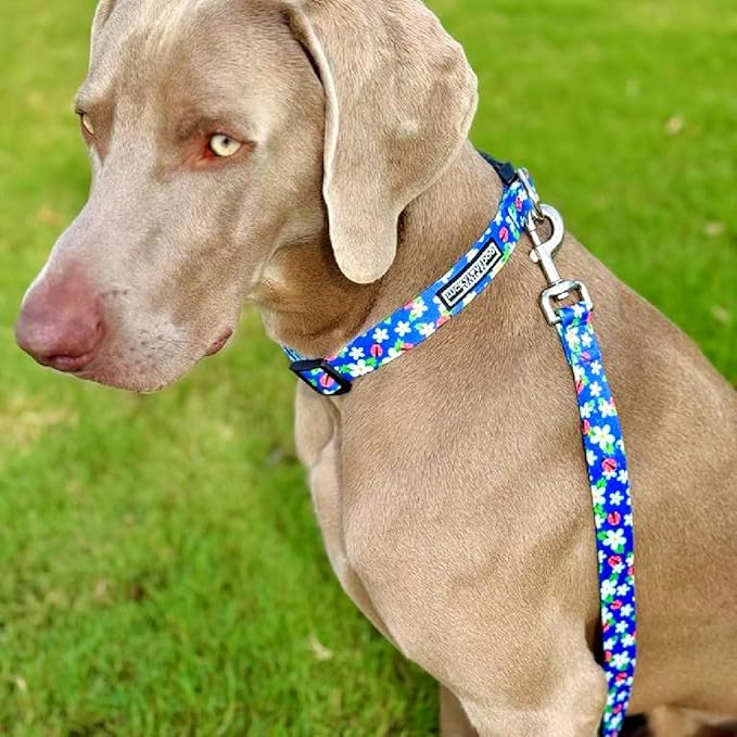 Lucky Love Dog - Easy Click Buckle Dog Collar with Leash Set Combo, Durable & Comfortable for Male & Female Dogs, Pet Collar for Small to Large Dogs, Secure Fit - Lilian Combo, XS