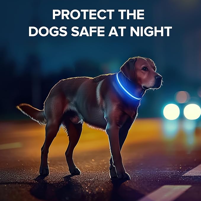 Jewyow Light Up Dog Collar, Adjustable USB Rechargeable Glow in Dark Dog Collar ，Waterproof Dog Collars for Medium Dogs (Blue, Medium)
