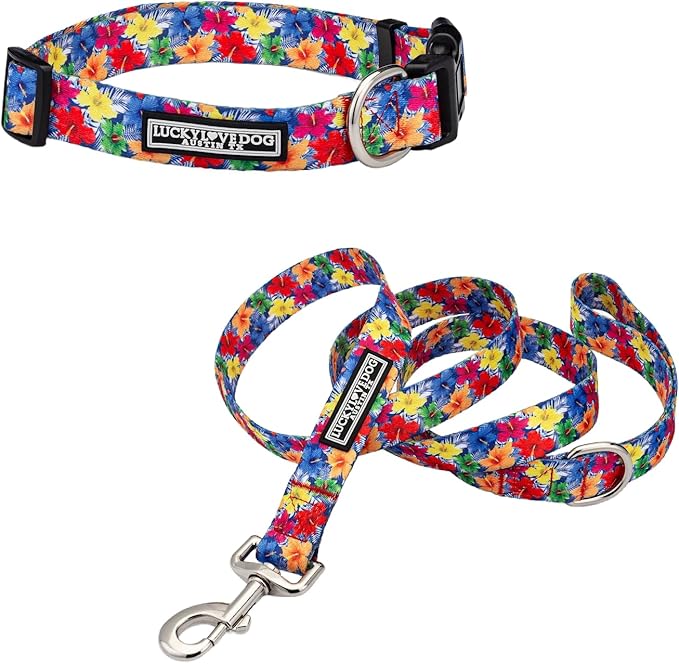 Lucky Love Dog - Easy Click Buckle Dog Collar with Leash Set Combo, Durable & Comfortable for Male & Female Dogs, Pet Collar for Small to Large Dogs, Secure Fit - Hana Combo, Large