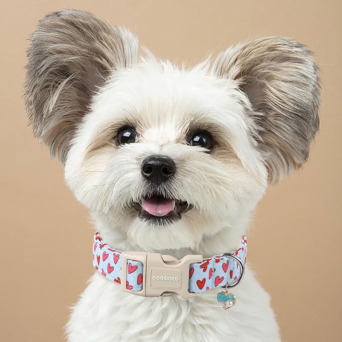 DOGWONG Valentine Dog Collar- Cute Blue Heart Dog Collars Adjustable Designer Valentine’s Day Puppy Heart Dog Collar for Small Medium Large Dogs S