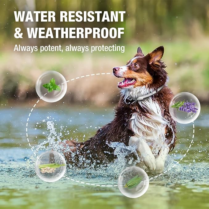 EcoVenger Flea & Tick Collar Repellent 2-Pack White, Fits Both Dogs & Cats, Built-in Pant-Based Formula Strong Repellency Slow Release, Lasting Deterrence and Protection, Pleasant Aroma, Waterproof