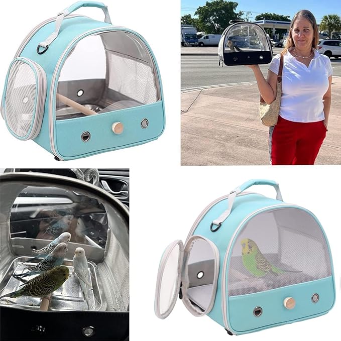 Bird Travel Cage, Portable Small Bird Parrot Parakeet Carrier with Standing Perch, Side Access Window Collapsible(Green, Mesh Windows)