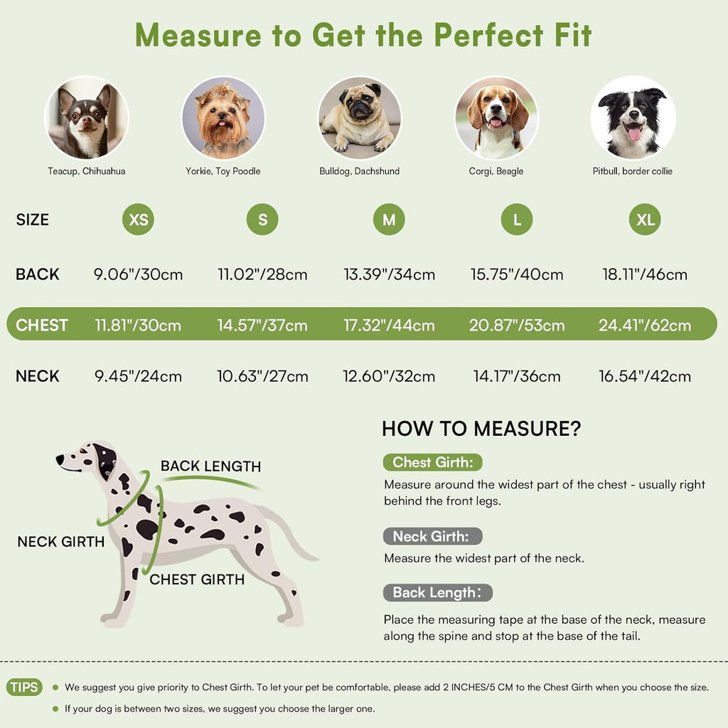 Queenmore Warm Dog Sweater, Soft Pet Knitwear, Knitted Pullover, Winter Pet Clothes for Small Medium Dogs Cats