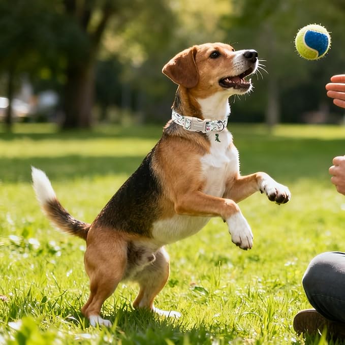 DOGWONG Dinosaur Dog Collar-Cute Dog Collar Adjustable Comfortable Cotton Boy Dog Collars for Small Medium Large Dogs, Large