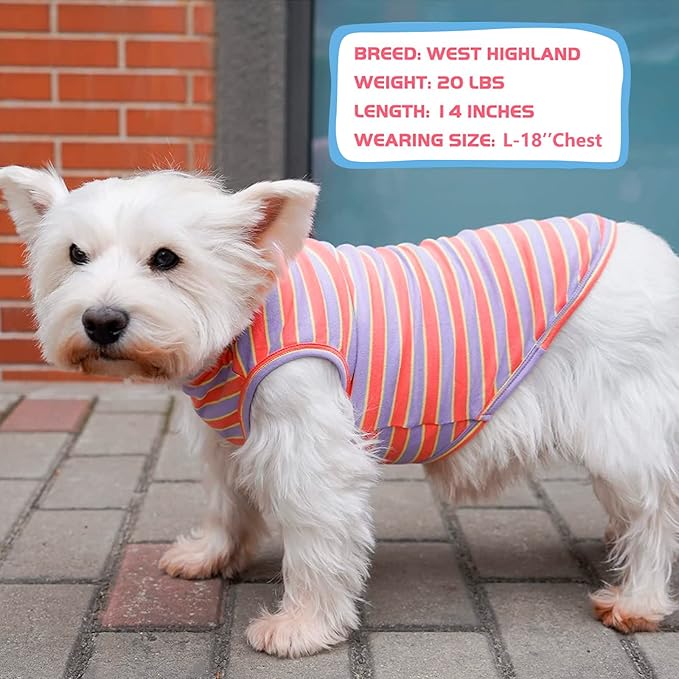 KYEESE 2Pack Dog Shirts Striped T Shirt Cotton Tank Top Soft Tee for Small Dogs Lightweight Clothes Sleeveless Dog Vest, Medium,Purple+Orange Striped
