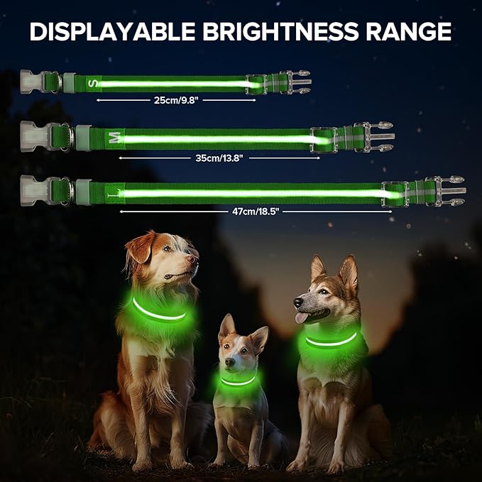 JewyowLight Up Dog Collar, Adjustable USB Rechargeable Glow in Dark Dog Collar ，Waterproof Dog Collars for Large Dogs (Green, Large)
