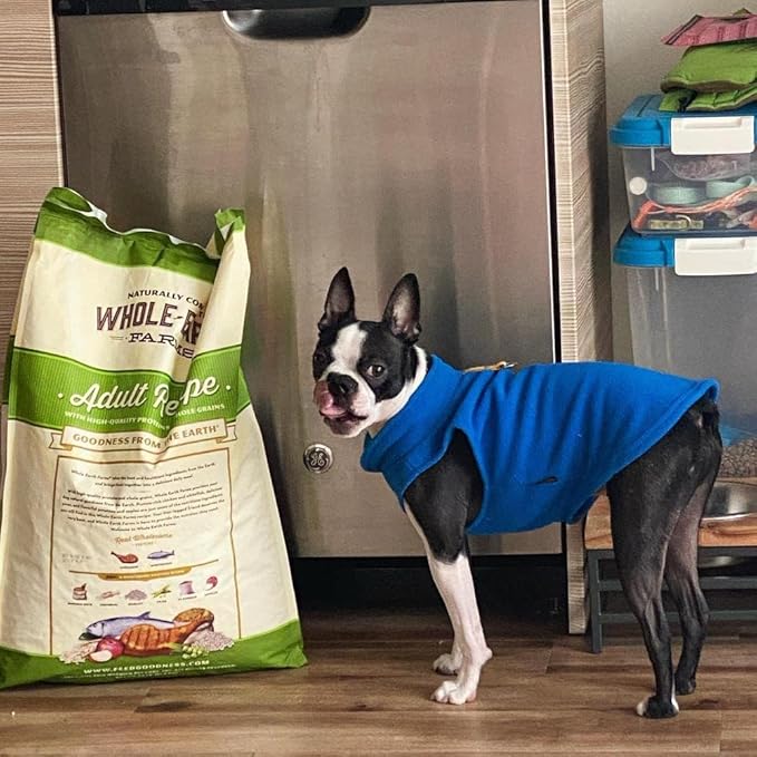 Gooby Fleece Vest Dog Sweater - Deep Blue, Medium - Warm Pullover Fleece Dog Jacket with O-Ring Leash for Small to Medium Dogs