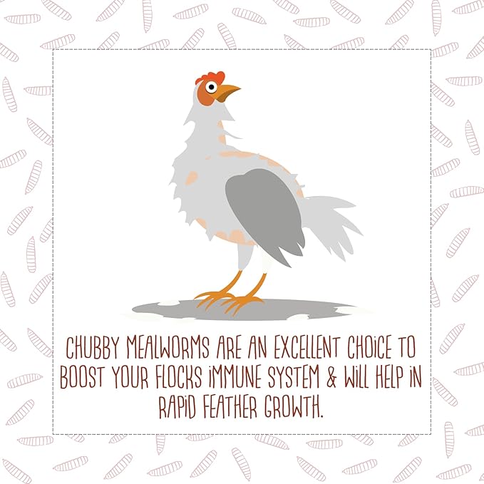 5Lb Chubby Dried Mealworms High Protein Treat for Chickens, Ducks & Birds