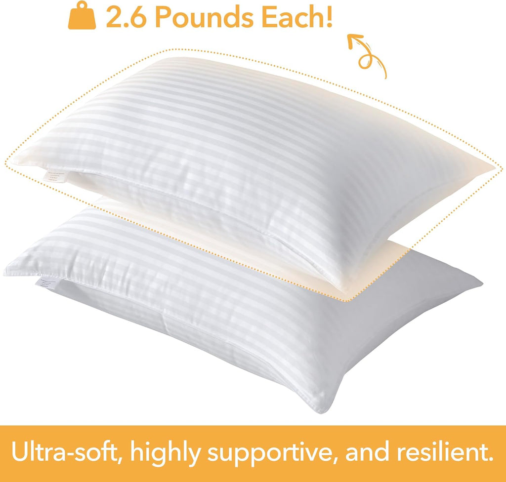 Oubonun Queen Size Pillows Set of 2 - Fluffy & Supportive Down Alternative Pillows with Zippered Cotton Cover - Breathable and Cool for All Sleeping Positions - Machine Washable - 20"x30"