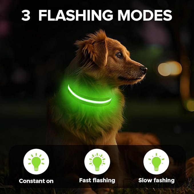 JewyowLight Up Dog Collar, Adjustable USB Rechargeable Glow in Dark Dog Collar ，Waterproof Dog Collars for Large Dogs (Green, Large)