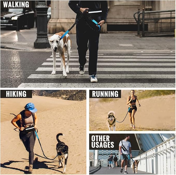 Plutus Pet Hands Free Dog Leash, Soft Padded Dual Handle Retractable Bungee Leash with Reflective Stitches, Adjustable Wasit Leash for Dog Walking Running Jogging, for Medium Large Dogs