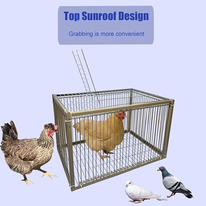 15" H Chicken Pigeon Trap Cage Birdcage Small Animal Trap Cage with Escape-Proof Design for Bird Turkey Duck Dove (23.6" L x 15.7" W x 15.7" H)