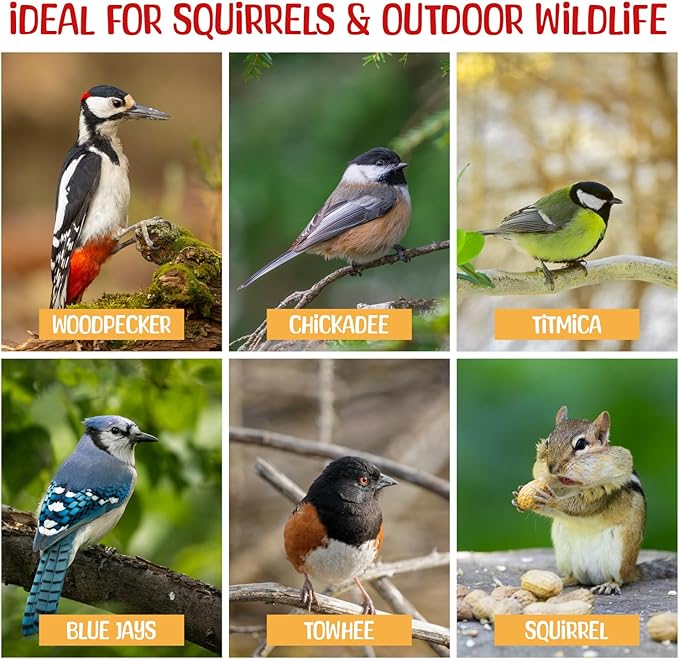 Premium Quality Raw Out of Shell Peanuts for Wildlife - 45 Pounds - Shelled Peanuts- Grown in The USA, for Squirrels, Deer, Birds