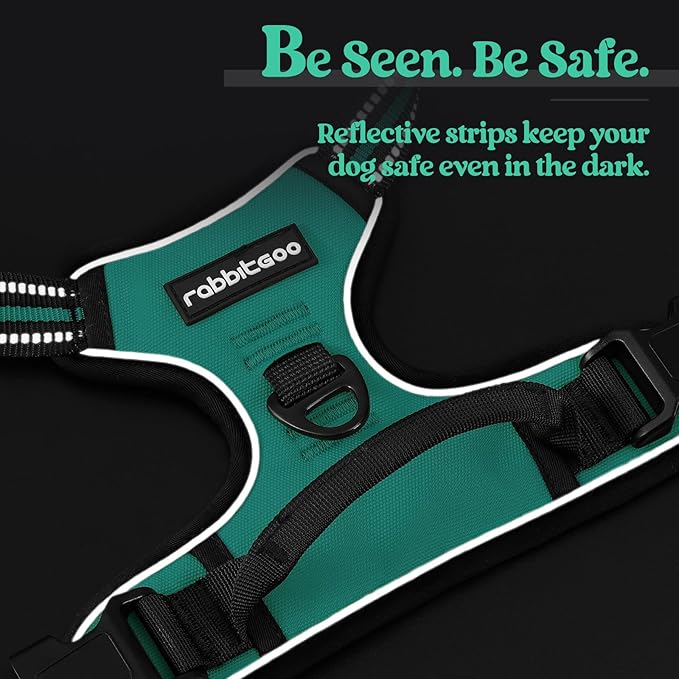 rabbitgoo Dog Harness No Pull with 2 Leash Clips, Adjustable Soft Padded, Reflective Oxford No Choke Pet Vest with Easy Control Handle for Medium Sized Dogs, Turquoise, M