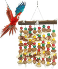 PINVNBY Large Parrot Toys Natural Nuts Corn Cob Wooden Chewing Tearing Toy for African Grey Macaws Amazon Cockatoos Eclectus Conures Cockatiels Cockatoo and Large Medium Parrot Birds (Colorful)
