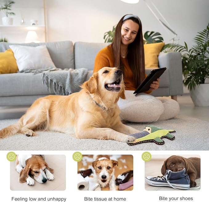 Tough Durable Squeaky Dog Toys for chewers Interactive to Keep Them Busy, Funny Tug of War Dogs Toy for Small Medium Large Cute Birthday Gift (Crocodile)