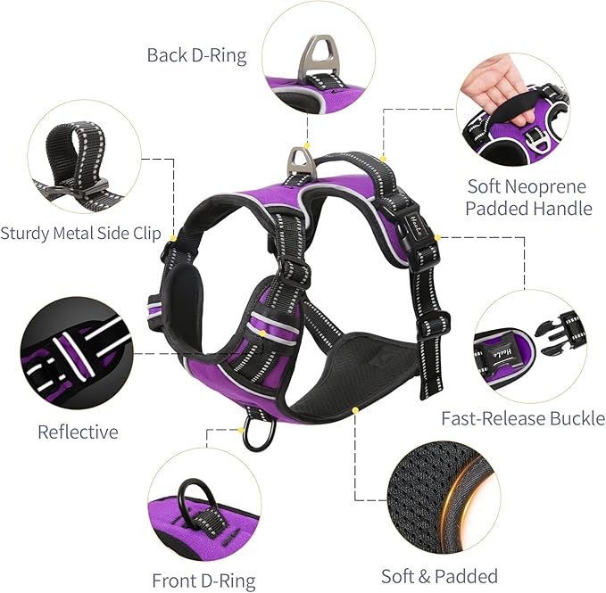 HEELE Dog Harness, No Pull Adjustable Padded Reflective Harness for Small Medium Large Dogs with Handle for Walking Training, Purple, L