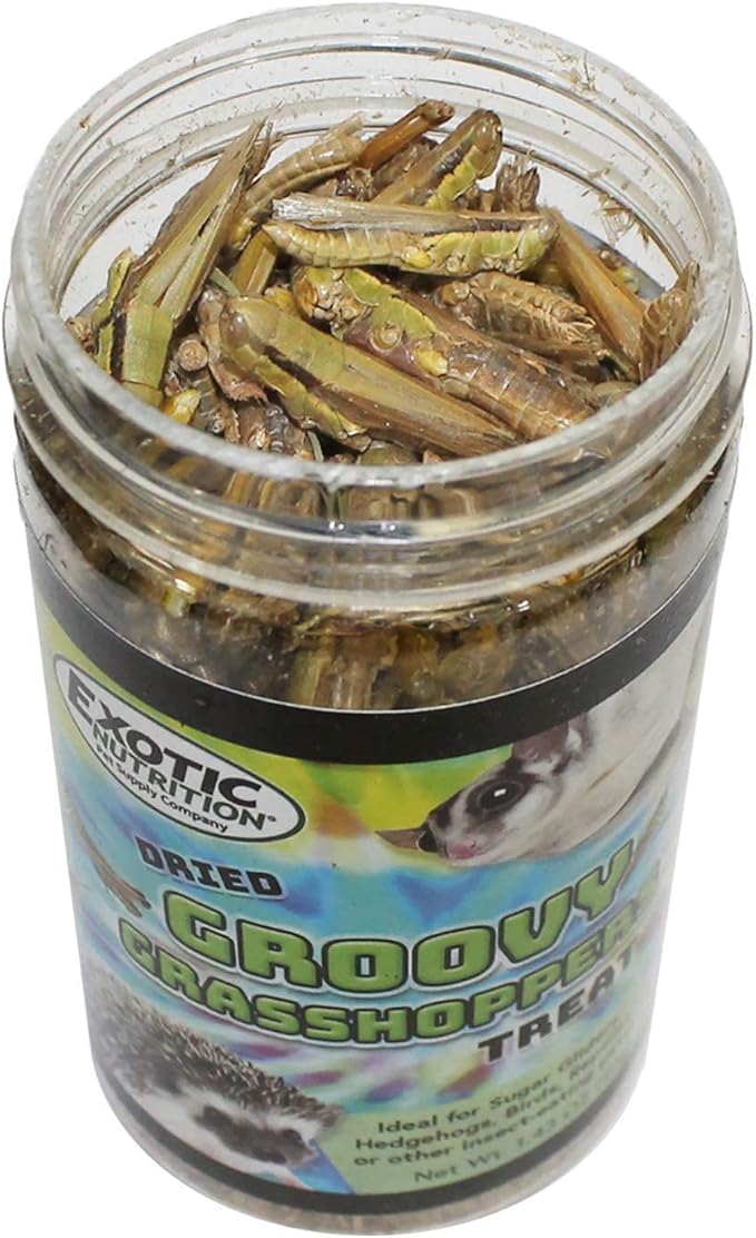 Groovy Grasshoppers - All Natural Healthy High Protein Insect Treat - Chickens, Birds, Hedgehogs, Bluebirds, Reptiles, Sugar Gliders, Opossums, Skunks, Lizards, Fish, Turtles, Amphibians (1.4 oz)