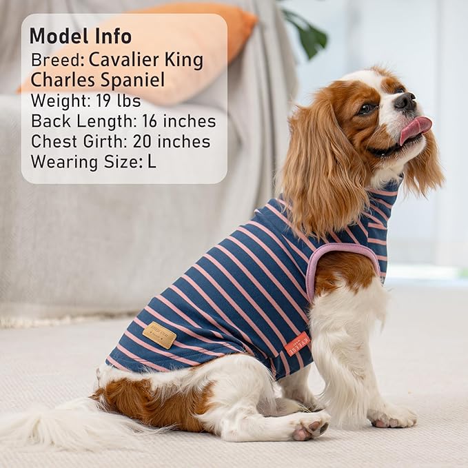 KYEESE 2Pack Dog Sweater Pullover Dog Sweaters for Small Dogs Girl Soft Dogs Clothes Stretchy Pet Sweatshirt Warm Dachshund Clothes Small Pets Sweaters Turtleneck Pet Coats