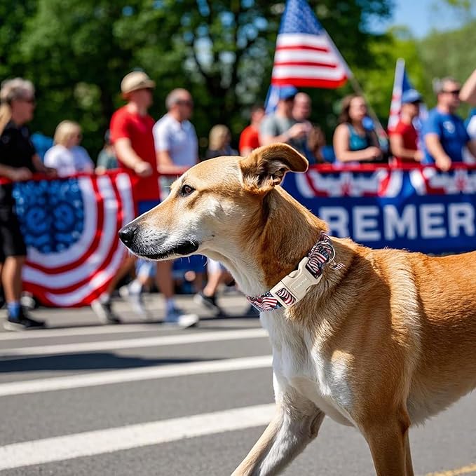 DOGWONG Patriotic Flag Dog Collar, 4th of July American Flag Dog Collars, Adjustable Cute Patriotic Pet Collars Fourth of July Design Dog Collar for Small Medium Large Dogs
