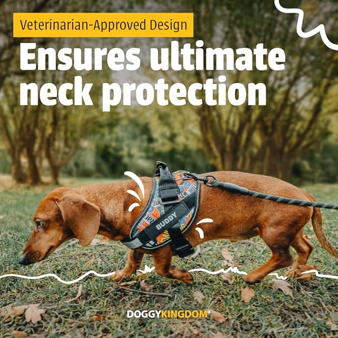 Personalized No-Pull Dog Harness with Name Patch, Adjustable, Reflective, Padded, Heavy Duty Pet Vest to Prevent Tugging, Pulling, or Choking, Training and Walking, Green, M