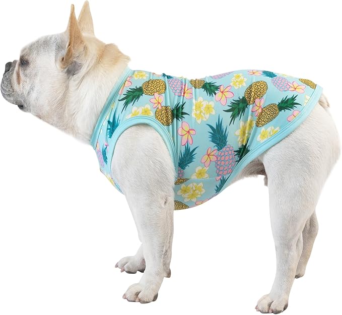 CuteBone Dog Shirts 2-Pack Soft Pet Clothes Breathable Summer Vest for Small Puppy and Stretchy Cat Apparel 2BX06M