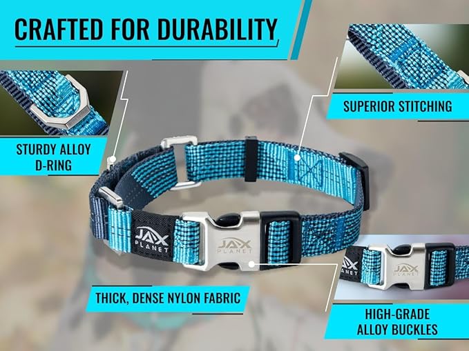 Blue Martingale Collar for Dogs - Heavy Duty Nylon Pet Collars for Escape-Free, No Pull Training & Walking with Alloy Metal Release Buckle & Reflective D Ring, One Time Adjustment, Safe & Secure, M