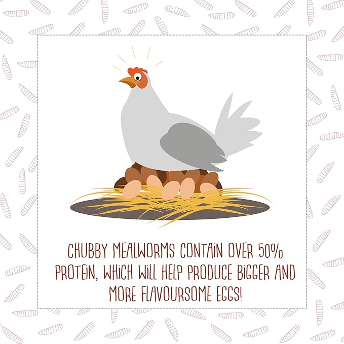 5Lb Chubby Dried Mealworms High Protein Treat for Chickens, Ducks & Birds