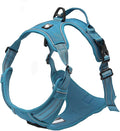 Truelove Adjustable No-Pull Dog Harness Reflective Pup Vest Harnesses Comfortable Control Brilliant Colors TLH5651(Blue,M)