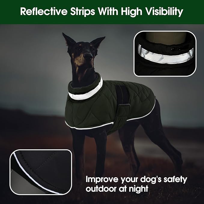 Dog Winter Coat Warm Padded Puppy Jacket Windproof Water Resistant Clothes for Small Medium Large Pets Christmas Sweater Outfit Vest(Green, M)