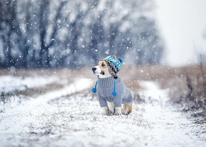 Queenmore Small Dog Pullover Sweater, Cold Weather Cable Knitwear, Classic Turtleneck Thick Warm Clothes for Chihuahua, Bulldog, Dachshund, Pug, Yorkie (Grey, X-Small)