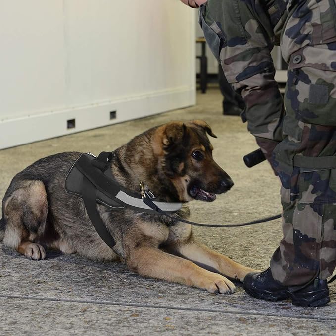 Bolux Dog Harness, No-Pull Reflective Dog Vest, Breathable Adjustable Pet Harness with Handle for Outdoor Walking - No More Pulling, Tugging or Choking (Black, S)