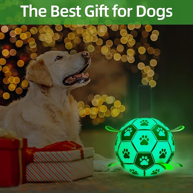 QDAN Dog Ball, Glow in The Dark Dog Toys, Light Up Soccer Ball for Dogs, Outdoor Dog Toys, Doggy Water Toy, Puppy Birthday Gifts for Medium Large (8 Inch)