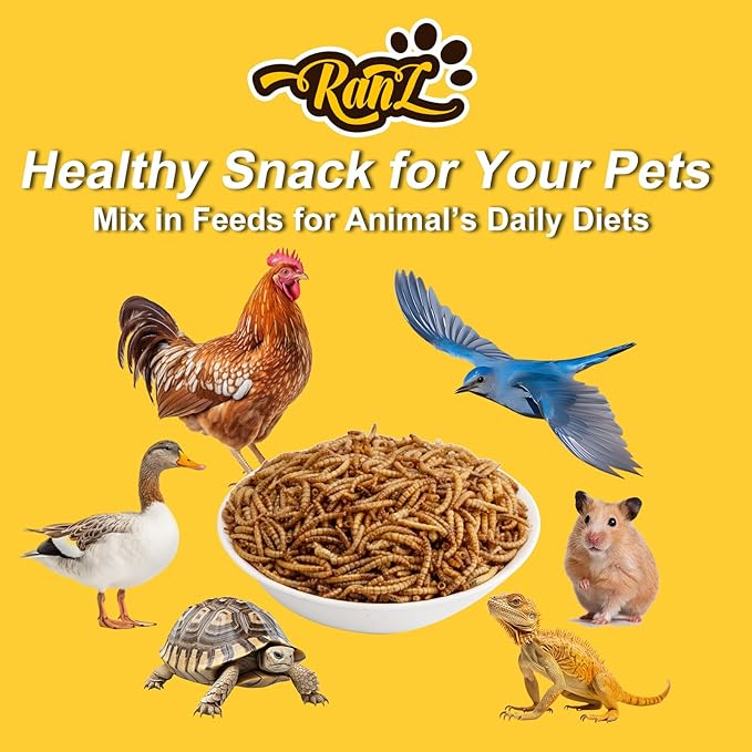 RANZ 10LBS Non-GMO Dried Mealworms for Chickens, High Protein Meal Worms, Premium Chicken Feed, Perfect Bird Food and Chicken Treats, Whole Large Mealworms for Wild Birds, Ducks, Fish