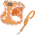 Mercano Soft Mesh Dog Harness and Leash Set, No-Chock Step-in Reflective Breathable Lightweight Easy Walk Vest Harnesses with Safety Buckle for Small Dogs, Cats (Orange, S)