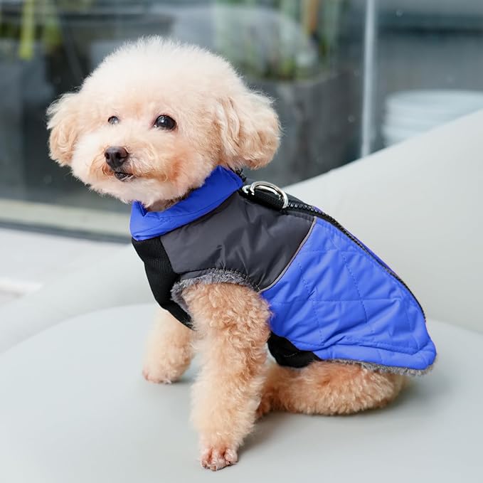 Warm Fleece Dog Coats for Small Dogs,D-Rings Waterproof Puppy Jacket for Cold Winter,Blue XS