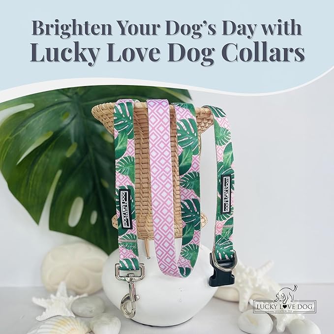 Lucky Love Dog - Adjustable Dog Collar with Easy Click Buckle for Small to Large Ones, Durable, & Comfortable for Male & Female Dogs, Pet Collar for Puppies & Adult Dogs - Laguna, Large