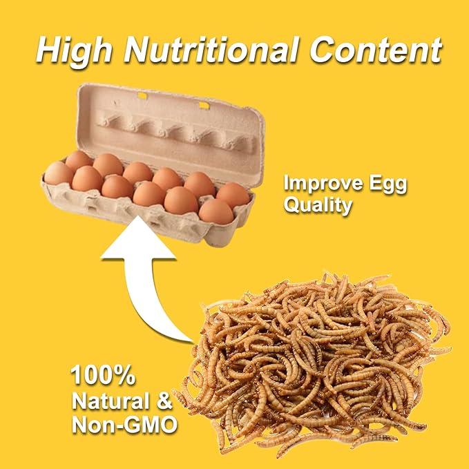 RANZ 10LBS Non-GMO Dried Mealworms for Chickens, High Protein Meal Worms, Premium Chicken Feed, Perfect Bird Food and Chicken Treats, Whole Large Mealworms for Wild Birds, Ducks, Fish